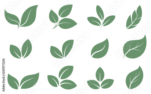 Green Leaf Icon Collection: A variety of stylized green leaf icons representing nature and growth. natural emblem, organic symbol, eco-friendly design, plant illustration, fresh concept.