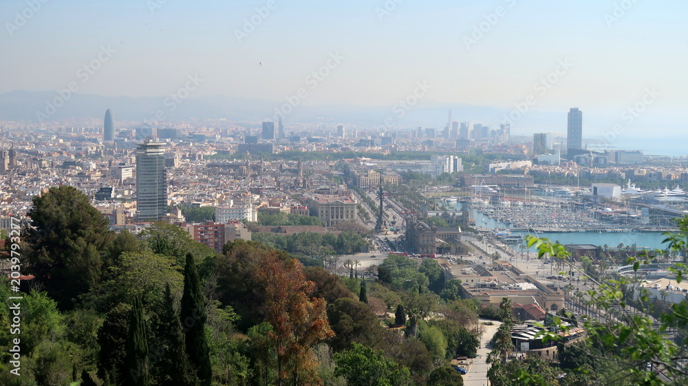 Fototapeta premium vue panoramique sur Barcelone et son port depuis Montjuic