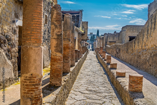Bild auf Leinwand Herculaneum Ancient City view that Roman town buried in the eruption of Mount Ve