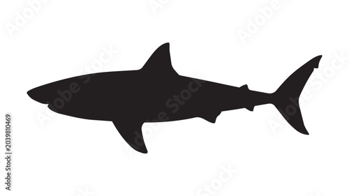 Fotografie Black shark silhouette