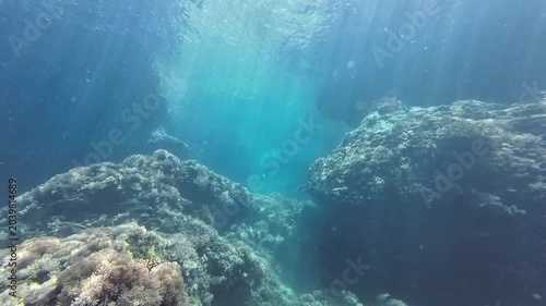 Sunlit coral canyon underwater. Clear water illuminates a narrow passage between reef formations as sunlight filters from the surface, creating a calm blue seascape with natural textures and depth.