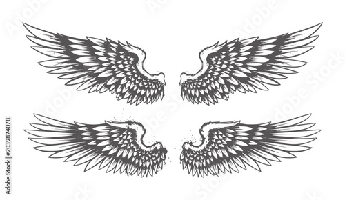 Cuadro en lienzo Two pairs of dark grey feathered wings white feathers