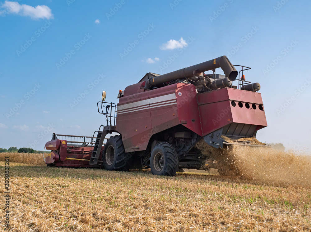 Fototapeta premium A combine harvester working in a vast agricultural field during a sunny daytime harvest, kicking up dust