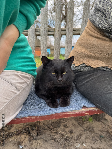 Black cat sitting on a bench between two people outdoors