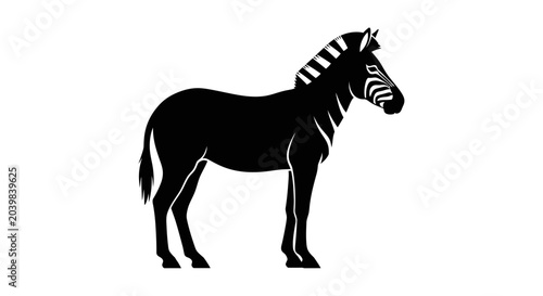 Tableau sur toile Black and white zebra standing still.