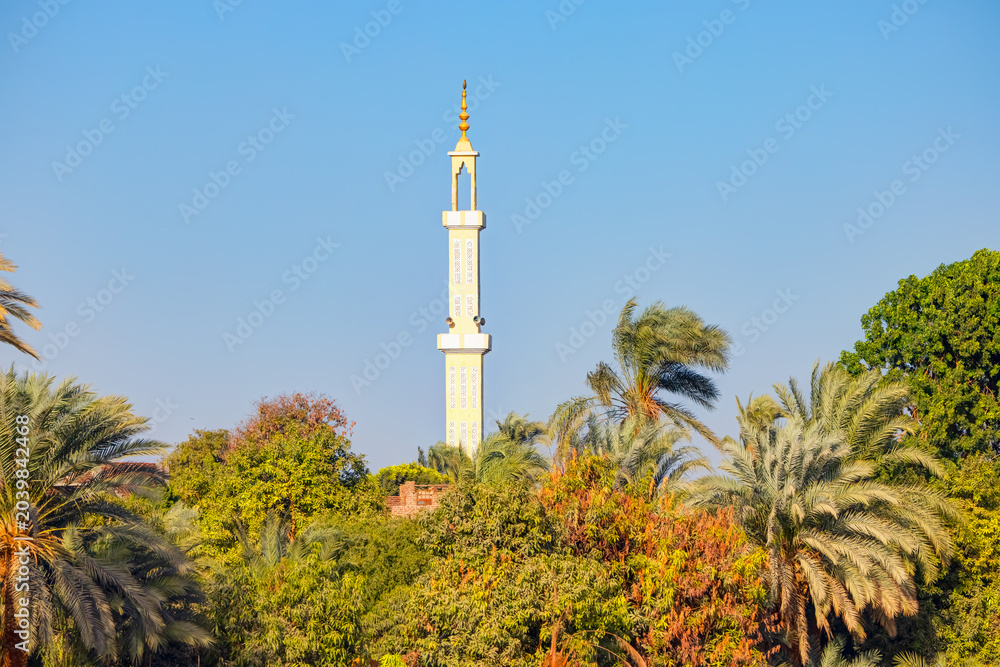 Obraz premium Mosque on the banks of the Nile river