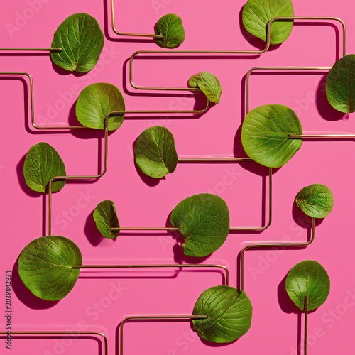 Arrangement of green leaves and copper pipes on a pink background, abstract design, organic connection