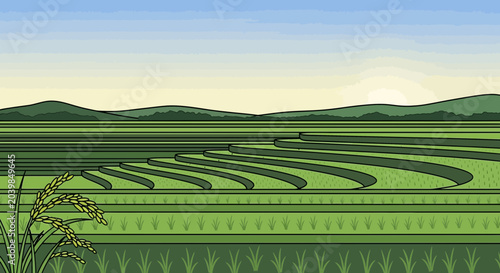Bild auf Leinwand Vibrant Green Rice Paddies Landscape with Rolling Hills and Sunrise