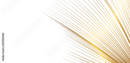 Photos gold abstract lines radiating from corner on transparent background vector graph