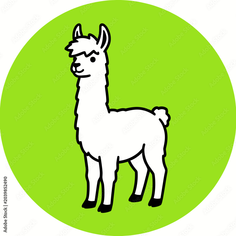 Fototapeta premium White Alpaca Standing in Green Circular Background