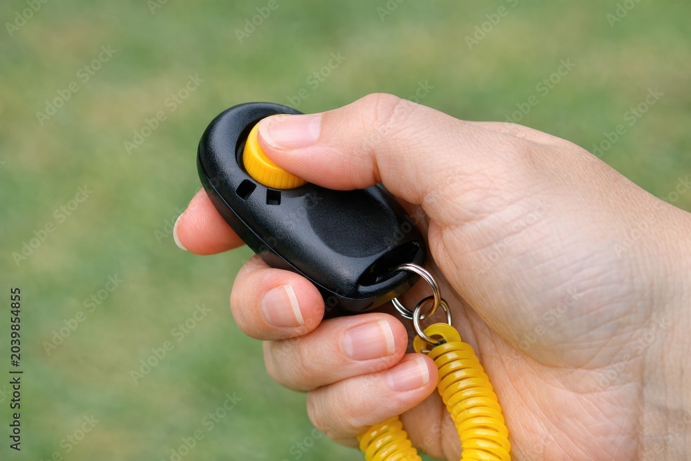 Fototapeta premium A person holding a yellow and black radio, ideal for use as a symbol of communication or technology