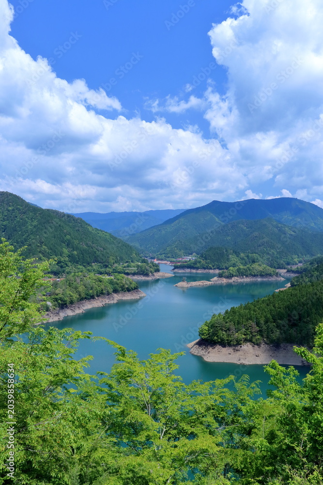 Fototapeta premium 魚梁瀬ダム湖 初夏 高知県北川村