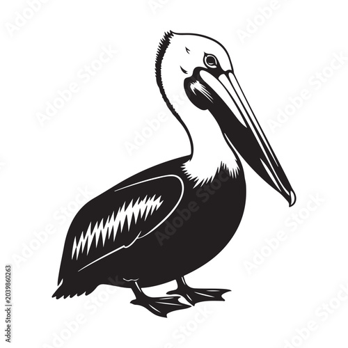 Fotografija Pelican bird vector illustration in black and white woodcut style with long beak