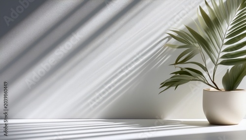 A Soft White Background For Product Presentation With The Shadow Of A Plant And Blind