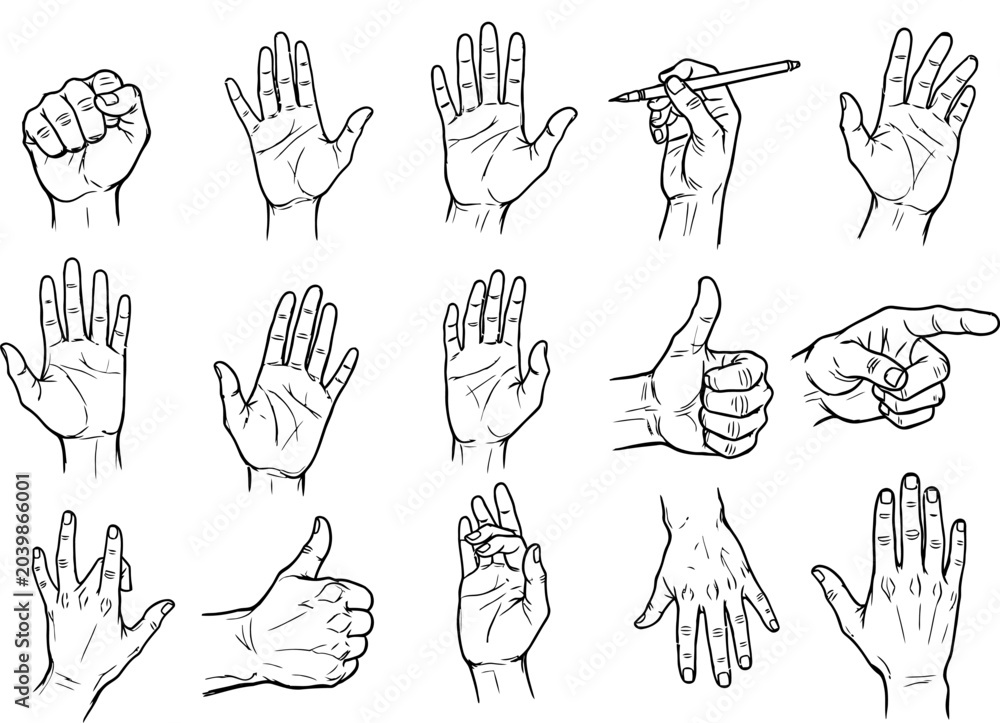 Fototapeta premium Collection of hand drawn sketches depicting various human hand gestures and poses on a white background