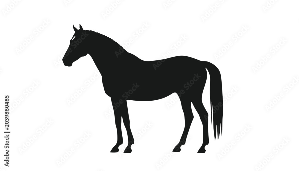 Fototapeta premium Horse silhouette stands majestically in profile against a clean white background to provide a striking visual representation of equine power and grace for various design projects and artistic layouts.