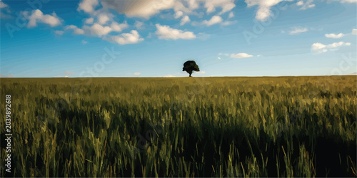 Fotografie Single tree in vast green field under blue sky with landscape sunlight solitary