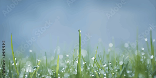 Fotografía Dew drops on green grass blades close up with raindrop moisture botanical close