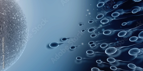 Foto 3d illustration showing sperms and egg