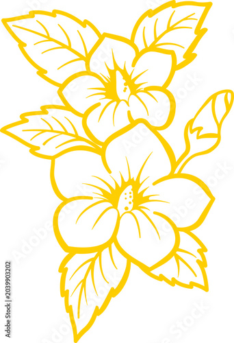 Golden line art illustration of blooming hibiscus flowers and leaves for certificate decoration.