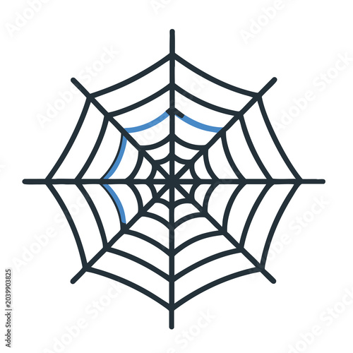 Stylized graphic spider web icon with a highlighted section.