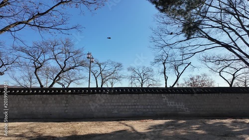 Traditional Korean Stone Wall with Tiled Roof and Bare Winter Trees in Gyeongju