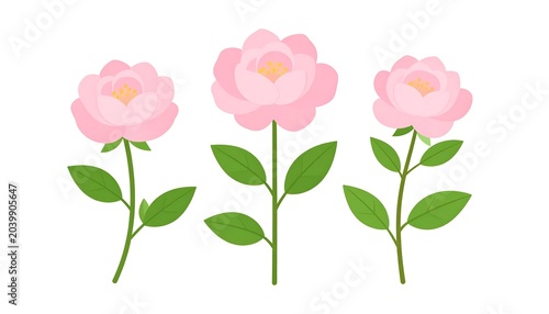 Three cartoon pink peony flowers with green stems and leaves against a white background. Each flower has yellow stamens