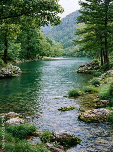 Cinematic vertical view of a clear emerald river winding through a lush green forest in the Ozark mountains with a rocky shoreline created with Generative AI Technology, ai, generative