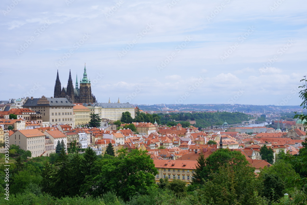 Obraz premium view of prague castle