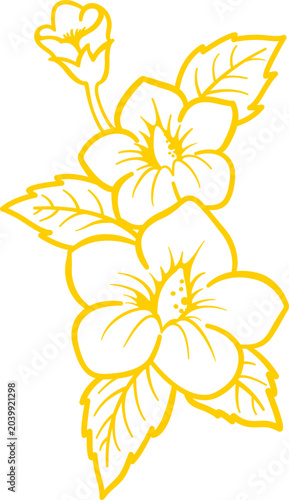 Golden line art illustration of blooming hibiscus flowers and leaves for certificate decoration.