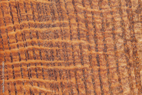 Ovangkol wood sheet macro background texture material