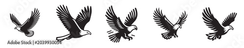 Photos Sequence of eagle in flight illustrating its wing movements and aerodynamic grac