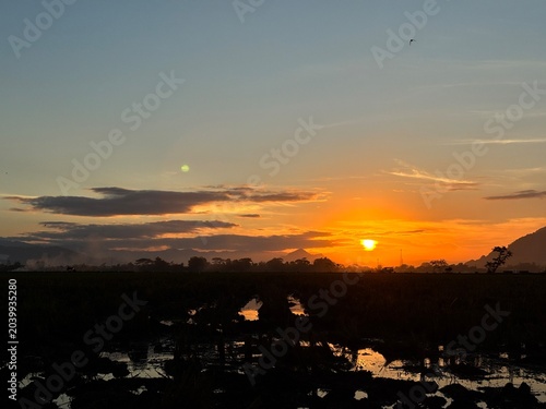 Serene countryside landscape at dusk. Water reflections in muddy farming fields against a stunning golden hour sunset.