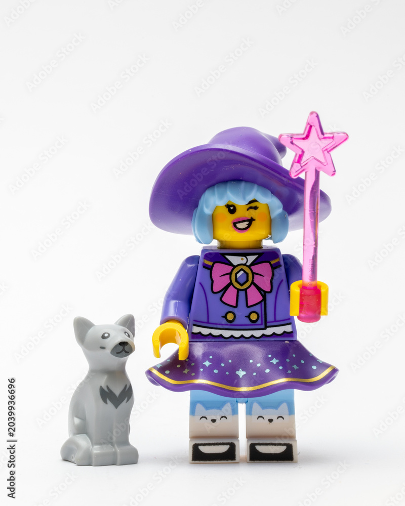 Obraz premium A minifigure of a happy witch and her cat