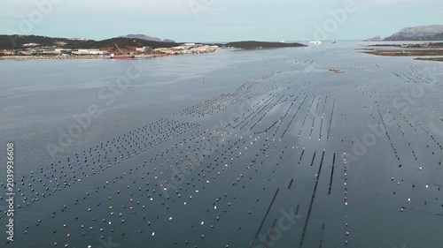 port d'Olbia en Sardaigne