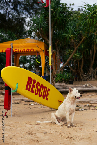 lifeguard stand on the Yanui beach, Southeast Asia, Phuket