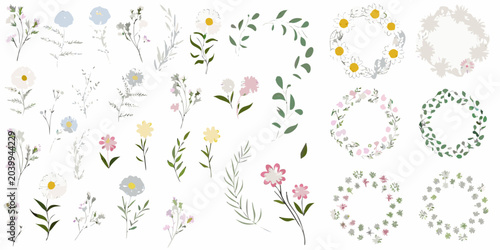 botanical illustrations featuring flowers and wreaths floral