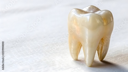 Foto Close-up isolated realistic human molar tooth with glossy pearlescent enamel on