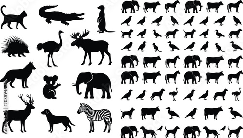 Photography Mega collection of vector animal silhouettes featuring domestic pets wild mammal