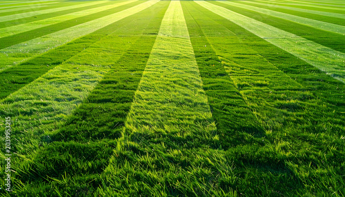 Vibrant Green Field with Sun Rays and Striped Pattern.