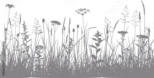 Silhouette of wild grasses and flowers against a white background
