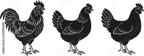 Cuadro en lienzo Black Chicken and Rooster Silhouette Collection Vector Illustration with Poultry