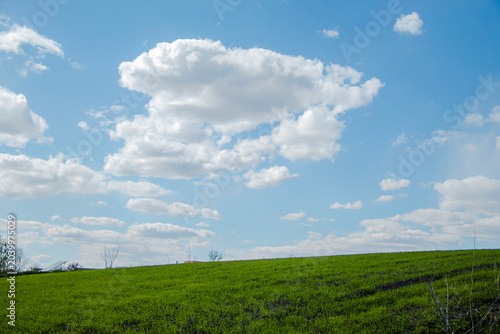Spring rural landscape with clouds.