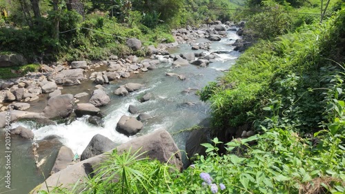 A tranquil stream flowing gently through a lush green landscape with rocks and plants along the banks
