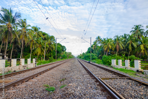 Scenic railway tracks stretching through a lush tropical landscape lined with coconut palms under a dramatic blue sky, ideal for travel blogs, transportation concepts, tourism promotions.