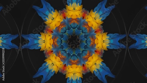 Abstract Kaleidoscope Animation with Vibrant Colorful Feathers Patterns