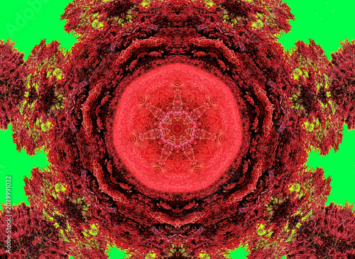 Quadro em tela A wheel of red and green patterning, each delicate texture mirroring outward in calm, kaleidoscopic symmetry