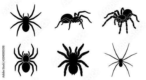 Foto Six Black Spider Silhouettes, Arachnid Icons Set, Creepy Halloween Vector Graphi