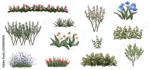  Vector watercolor blooming flower tree or forest side view isolated on white background for landscape and architecture drawing,elements for environment or and garden,green tree for garden section 
