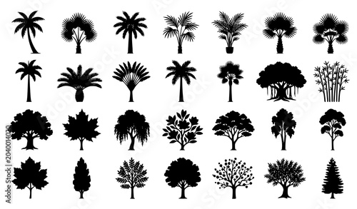 Schilderij op canvas Tropical palm and broadleaf tree silhouettes vector set for landscape and botani